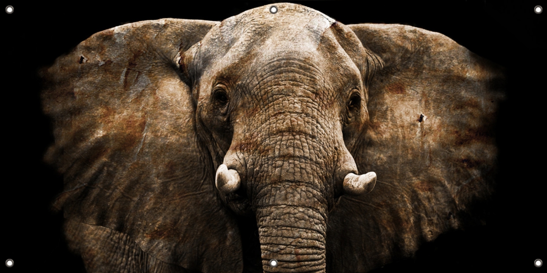 Tuinposter olifant  70x140