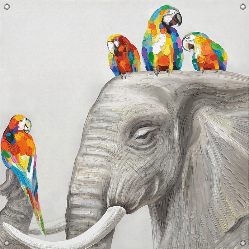 Tuinposter olifant met papegaai 80x80