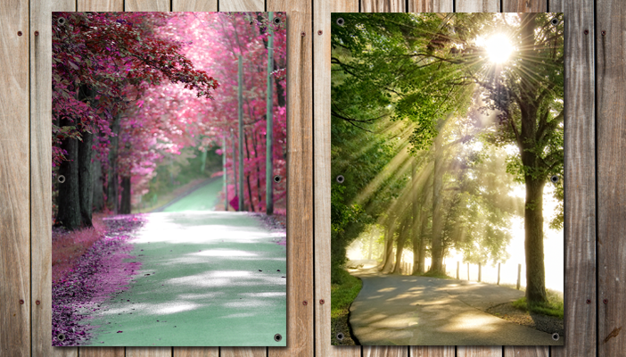 Natuur posters
